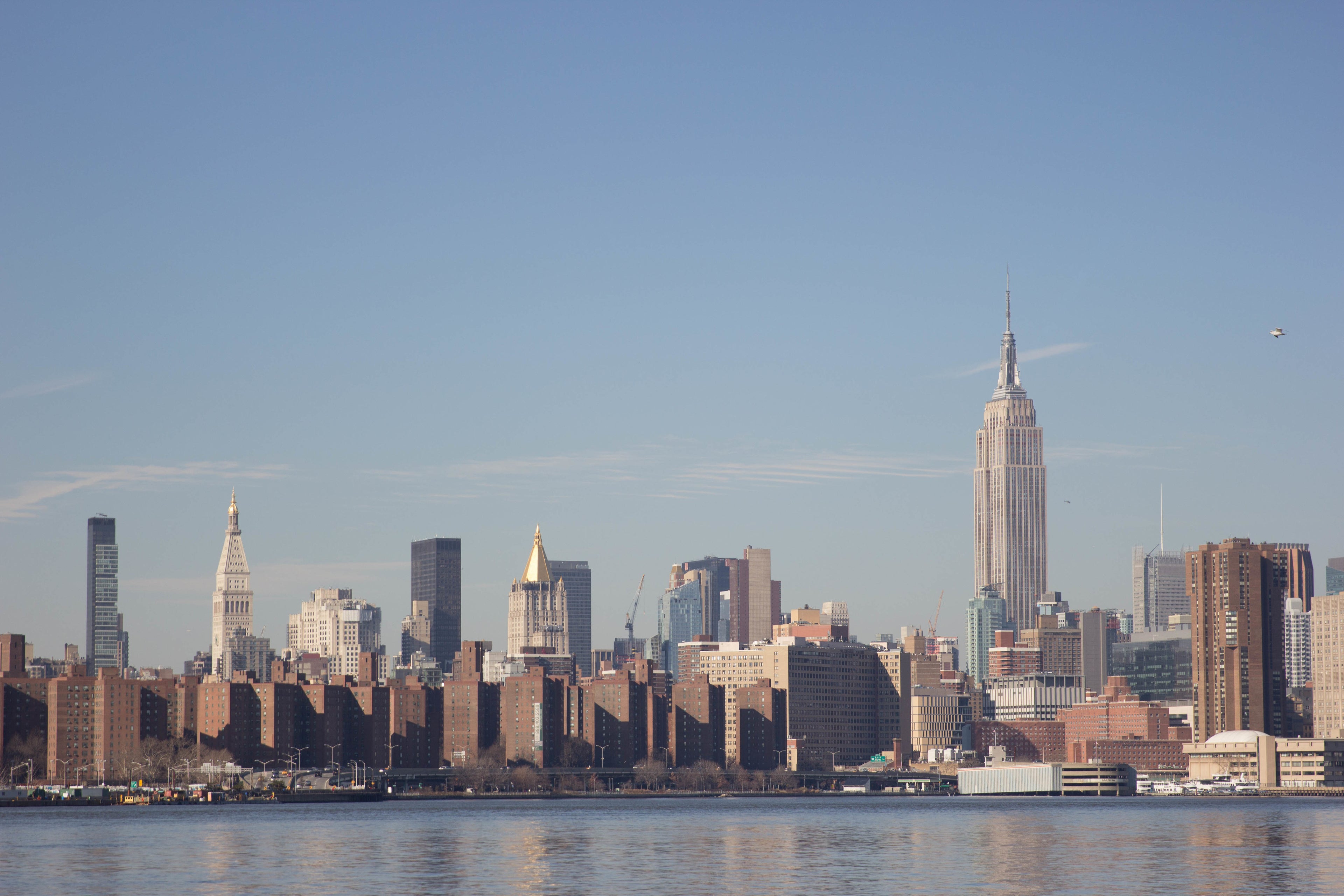 New York View