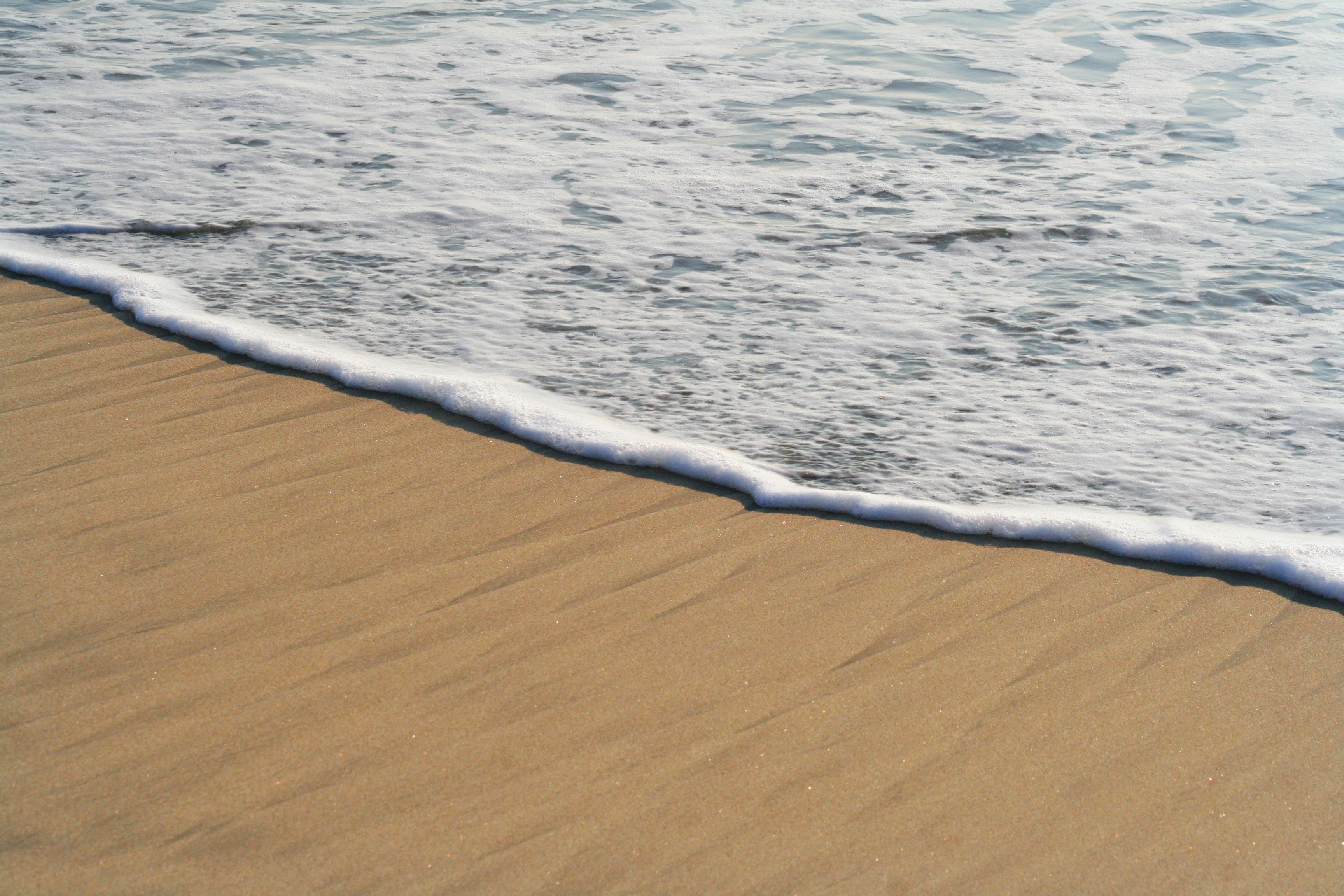 The Tide